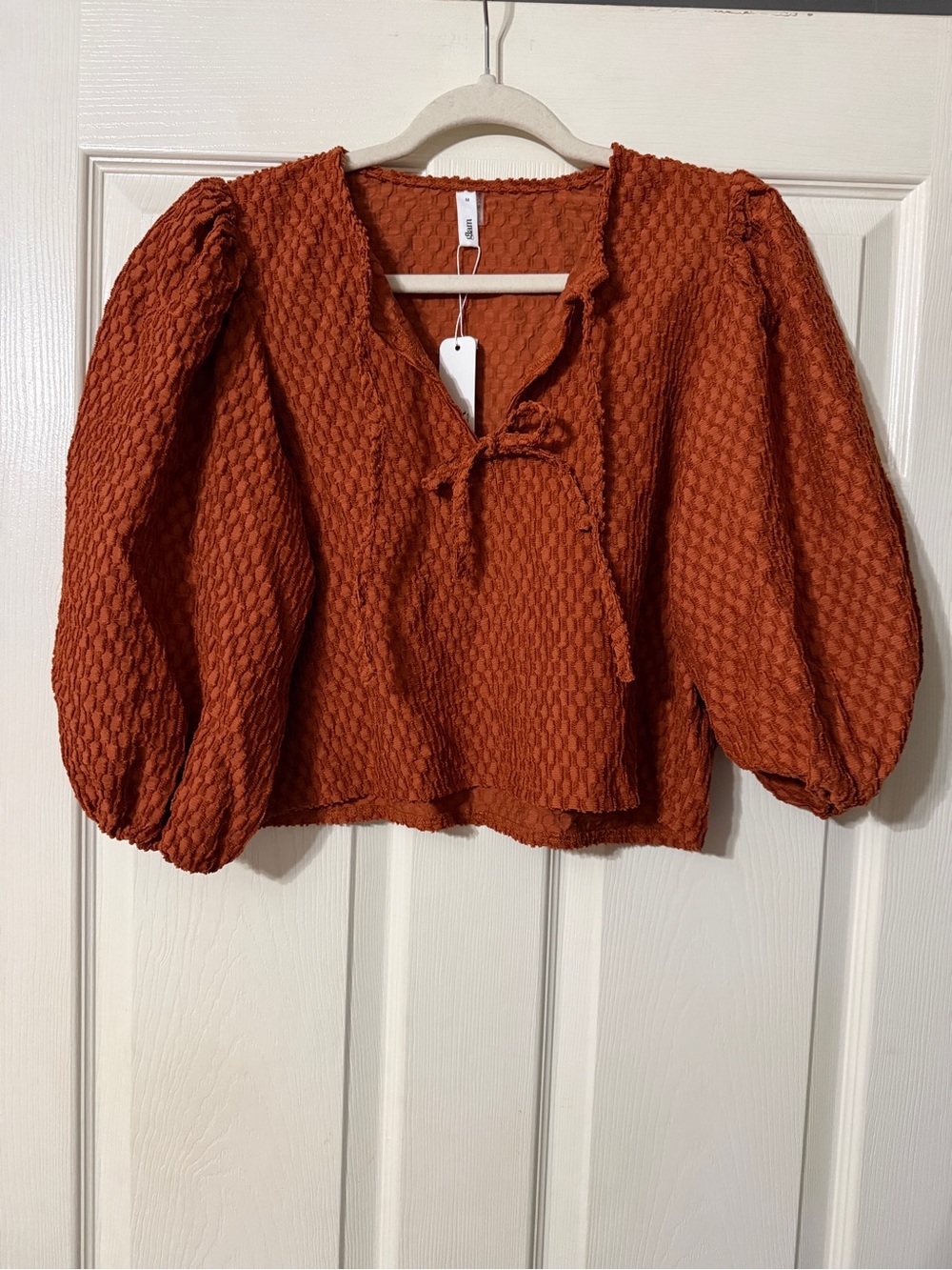 glam Rust Textured Tie-Front Peasant Blouse